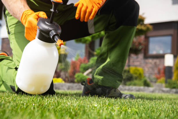 Best Emergency Pest Control  in Palmyra, IN