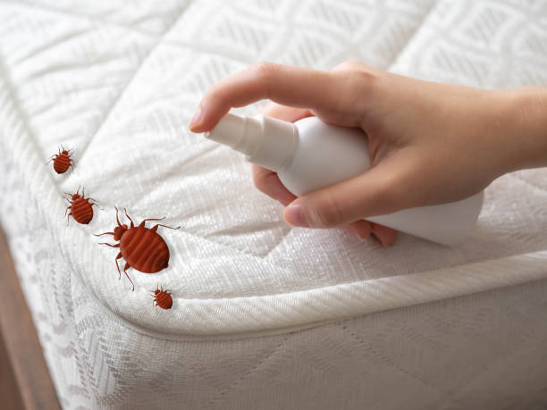 Best Commercial Pest Control Services  in Palmyra, IN